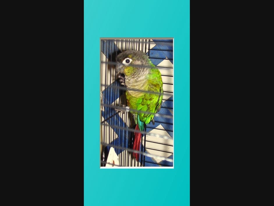 News small post card thumbnail