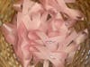 Breast Cancer Awareness Pins