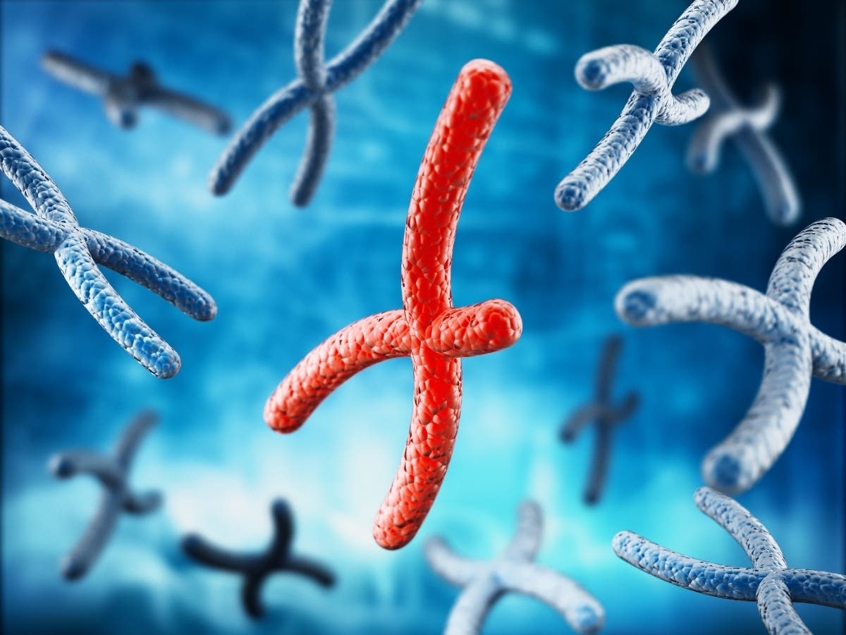 Red broken X chromosome among blue chromosomes