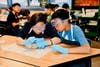 Suzanne Middle School sixth graders tackle sheep’s brain dissection on March 14.