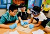 Suzanne Middle School sixth graders tackle sheep’s brain dissection on March 14.