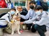 Pawsitively Perfect! Therapy dogs bring comfort and smiles during a lunchtime visit at South Pointe Middle School on March 29.  