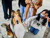 Pawsitively Perfect! Therapy dogs bring comfort and smiles during a lunchtime visit at South Pointe Middle School on March 29.  