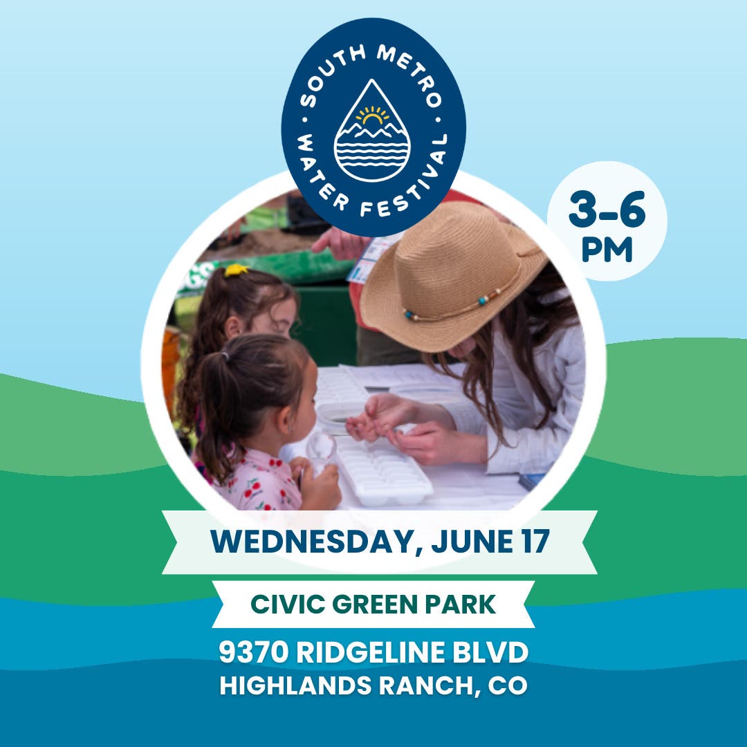 South Metro Water Festival