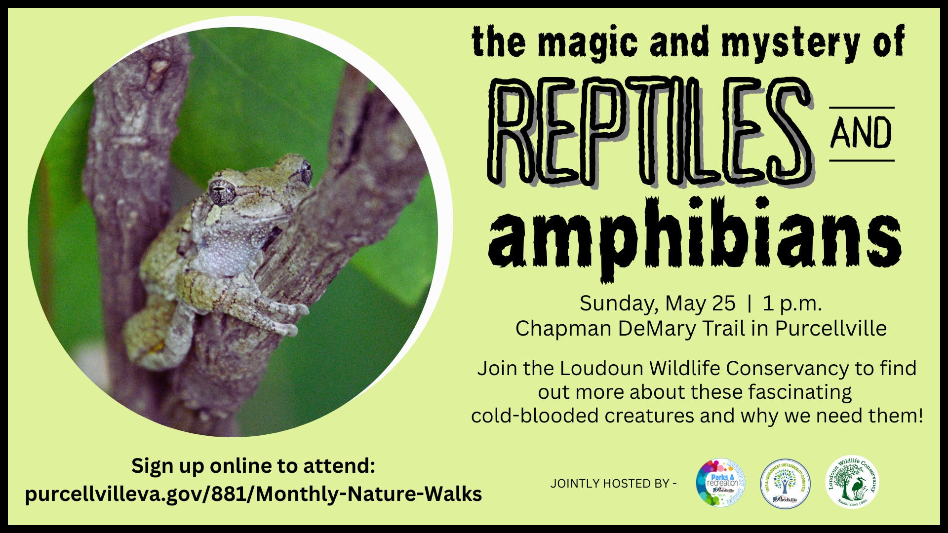 The Magic & Mystery of Reptiles & Amphibians