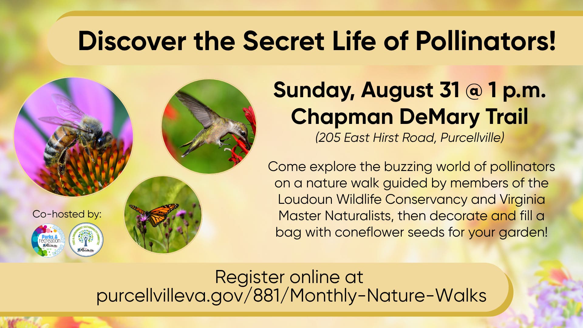 Discover the Secret Life of Pollinators
