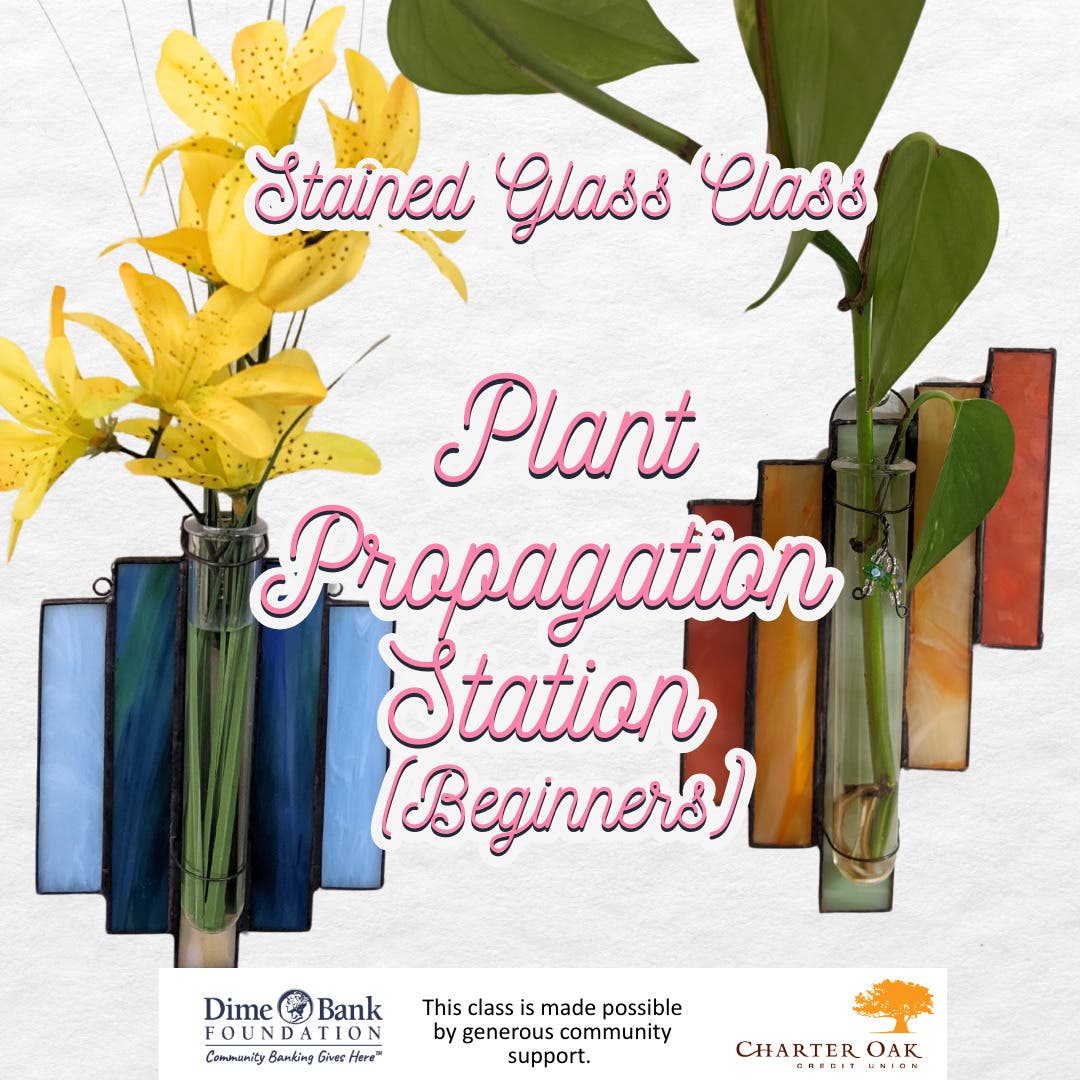 Stained Glass Class - Plant Propagation Station (Beginners)