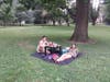 Impromptu picnic in McMichael Park