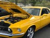 Paradice Classic Cruisers has announced it is returning with its popular family friendly Cruise Nights.