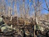 Firefighters from Water Witch Hose Company No. 2 fought to contain a brush fire on Candlewood Mountain Tuesday morning.