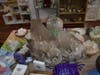 Crystal balls and geodes of all sizes fight for table space with tarot decks and incense sticks, at Lunastry in Danbury