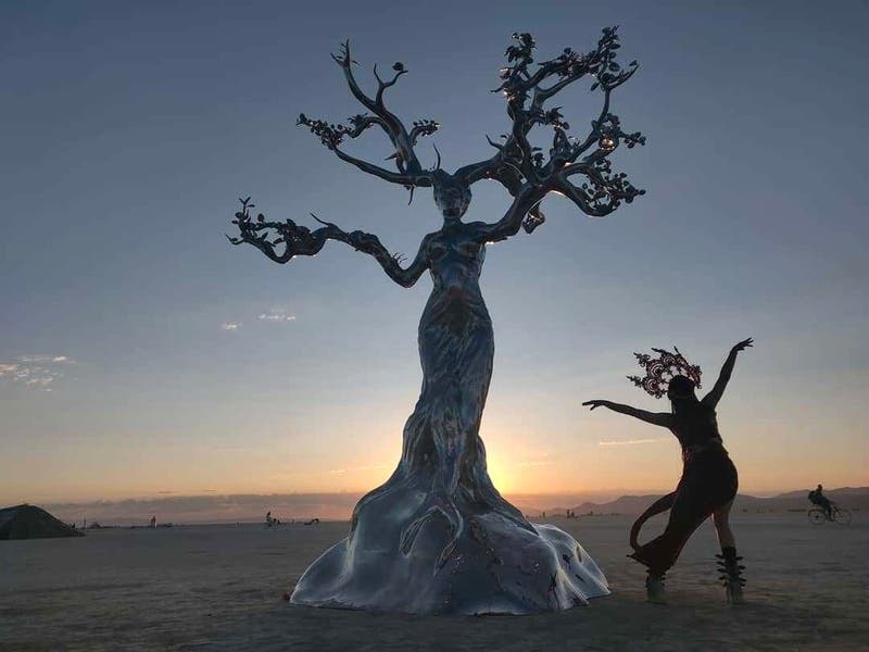 Burning Man is a week-long annual arts festival in Northern Nevada that cultivates radical self-expression. 