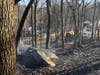 The fire broke out along  a hillside on Hickok Avenue in Bethel.