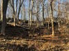 The fire broke out along  a hillside on Hickok Avenue in Bethel.
