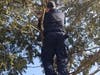 Firefighter Nick Nunnally​ made the rescue, and found "the  young lad was no worse for the wear​."