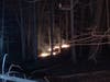 The Weston Fire Department responded to a brush fire adjacent to Lords Highway on Friday night. 