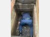 The Danbury firefighters were able to removing the top of the drain and dive in to retrieve the ducklings from the covert pipe.