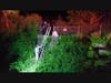Danbury firefighters secured the victim into a basket stretcher and hoisted him by ropes back up to the street level. 