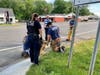 Brookfield firefighters and police came to the rescue of a brood of ducklings Wednesday.