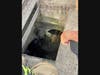 Brookfield firefighters and police came to the rescue of a brood of ducklings Wednesday.