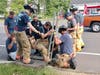 Brookfield firefighters and police came to the rescue of a brood of ducklings Wednesday.