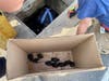 Brookfield firefighters and police came to the rescue of a brood of ducklings Wednesday.