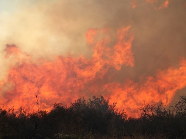 California wildfires, summer of 2020
