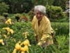Heather was an enthusiastic amateur painter, and loved her flower garden and the wildlife in it.