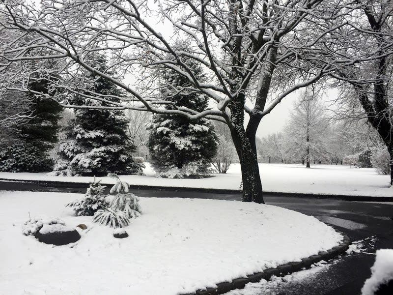 The Old Farmer’s Almanac released its long-range forecast for winter of 2020-21. See what to expect this winter.