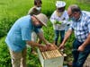 George Luft, Wayne Zabel, Julia Jaynes and David Bocher tend to the hives at Randall's Farm Preserve in Easton