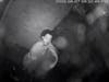 A suspect in a series of Wilton burglaries was caught on camera in surveillance video. 