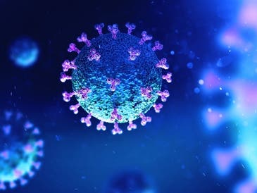 Coronavirus-associated deaths across the state rose by seven over the weekend. 