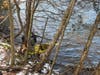 Police were notified Sunday morning of a capsized kayak with a life jacket attached floating in Lake Lillinonah​ with no one in sight. 
