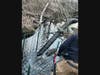 Crews from the Ridgefield Fire Department came to the rescue of a beaver last week.