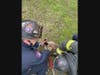 Firefighters extended the ladder from one of their trucks up to where a goose had become entangled in the netting.
