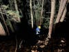 Crews from Stevenson Volunteer Fire Company and Monroe Volunteer Fire Department responded to the call about a brush fire in Webb Mountain Park just after 9:30 p.m. Saturday.