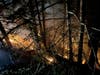 Crews from Stevenson Volunteer Fire Company and Monroe Volunteer Fire Department responded to the call about a brush fire in Webb Mountain Park just after 9:30 p.m. Saturday.