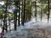 Crews from several local fire companies tackled two brush fires in Redding​ over the weekend.