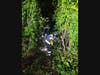First responders found the cab of a truck had tumbled down off the Interstate, and came to rest in the area of heavy brush.