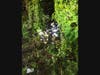 First responders found the cab of a truck had tumbled down off the Interstate, and came to rest in the area of heavy brush.