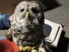 An owl who flew into a car grill is on the mend at a Weston Wildlife rehabilitation center.