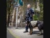 The Danbury Police Department is mourning the death of K-9 Officer Cael, at the age of 8.