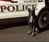 The Danbury Police Department is mourning the death of K-9 Officer Cael, at the age of 8.