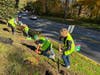 This daffodil beautification program, known as the Golden Miles Initiative, began in 2021 to celebrate the Garden Club’s centennial, with a goal of planting 15,000 daffodils in Wilton over five years. 
