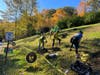 This daffodil beautification program, known as the Golden Miles Initiative, began in 2021 to celebrate the Garden Club’s centennial, with a goal of planting 15,000 daffodils in Wilton over five years. 