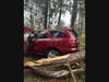 Branches and trees fell throughout the town and region​ Wednesday, and more than 6,200 Connecticut residents woke up without power Thursday morning