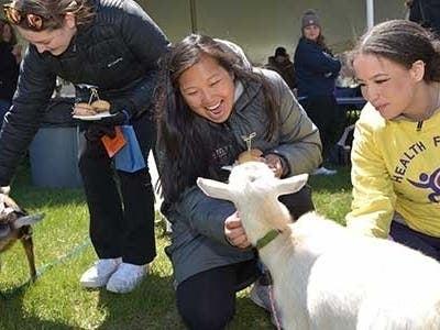 Attendees can participate in activities such as fitness and wellness demonstrations, cross-cultural and holistic healing, free food, giveaways, product samples and more. 