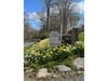 This daffodil beautification program, known as the Golden Miles Initiative, began in 2021 to celebrate Wilton Garden Club’s centennial, with a goal of planting 15,000 daffodils in Wilton over five years.