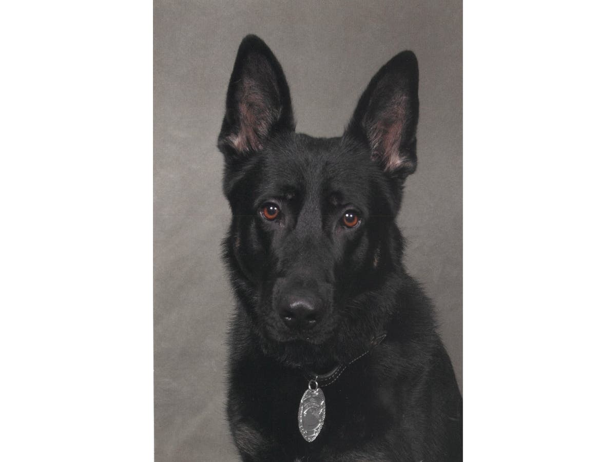 ​The City of Ansonia, police and residents will hold an official ceremony honoring Kane in the near future.