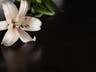 Danbury Obituaries News | Danbury, CT Patch